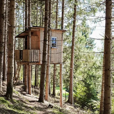 Moesenlehen * ميترسل