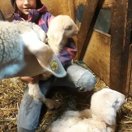 Moesenlehen Διαμέρισμα