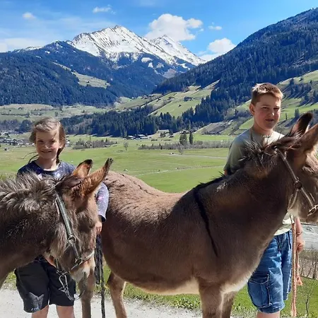 Moesenlehen アパート ミッタージル