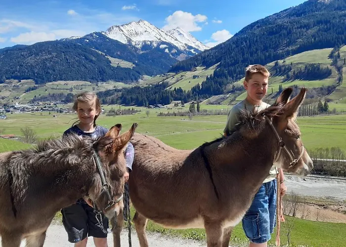 Moesenlehen Apartmán Mittersill